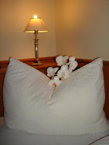 Hotel Zur Post Deudesfeld 部屋 写真
